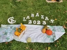 Foto 5 - Im&aacute;genes: &iquest;Sabr&iacute;as adivinar cu&aacute;nto pesa esta calabaza?