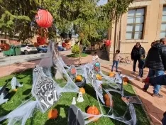 Foto 12 - Im&aacute;genes: &iquest;Sabr&iacute;as adivinar cu&aacute;nto pesa esta calabaza?