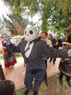 Foto 14 - Im&aacute;genes: &iquest;Sabr&iacute;as adivinar cu&aacute;nto pesa esta calabaza?