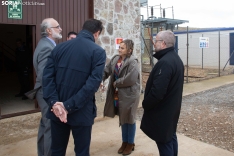 El parque eólico más antiguo de Castilla y León (en Soria) cumple 25 años/ María Ferrer