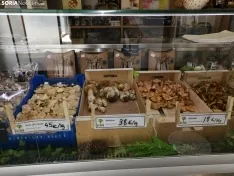 Foto 3 - Este es el precio (actual) de las setas y hongos en Soria