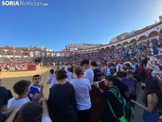 Foto 5 - Se suspenden las vaquillas de San Saturio ante la ausencia de los certificados de nacimiento de los animales