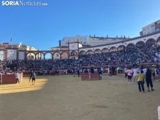Foto 7 - Se suspenden las vaquillas de San Saturio ante la ausencia de los certificados de nacimiento de los animales