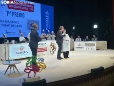 Foto 16 - Esta es la mejor hamburguesa micol&oacute;gica de Castilla y Le&oacute;n y se ha decidido en Soria