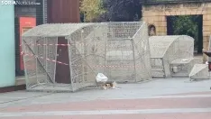 Instalación de las luces navideñas en Soria en el mes de octubre. /SN