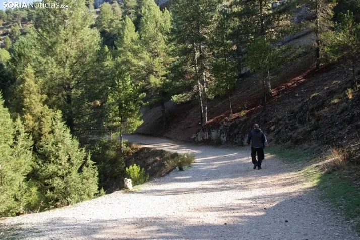 Un paseo por el Cañón del Río Lobos. /María Ferrer