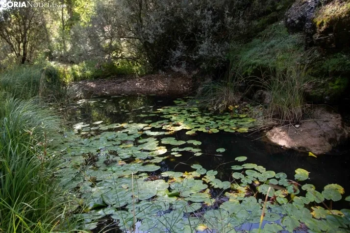 Un paseo por el Cañón del Río Lobos. /María Ferrer