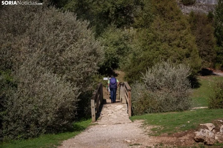 Un paseo por el Cañón del Río Lobos. /María Ferrer