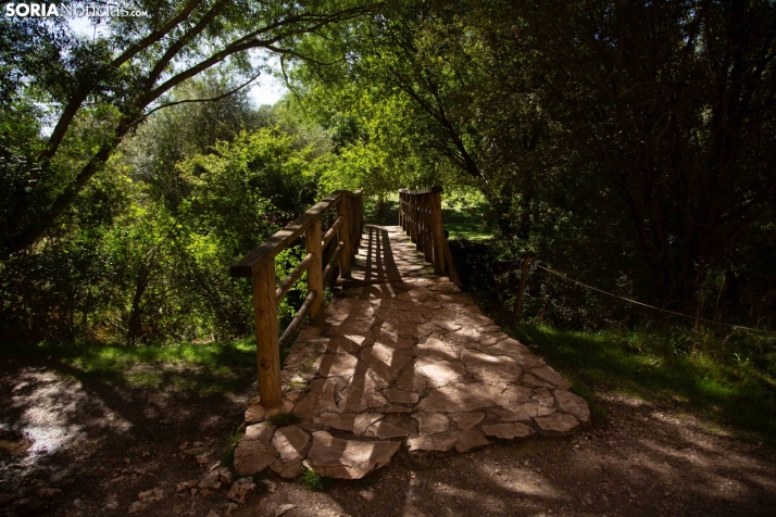 Un paseo por el Cañón del Río Lobos. /María Ferrer