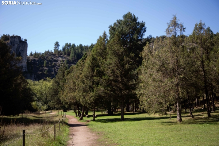 Un paseo por el Cañón del Río Lobos. /María Ferrer