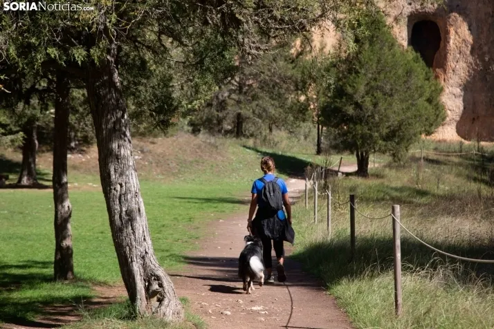 Un paseo por el Cañón del Río Lobos. /María Ferrer