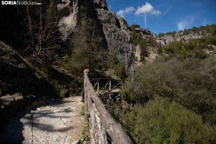 Un paseo por el Cañón del Río Lobos. /María Ferrer