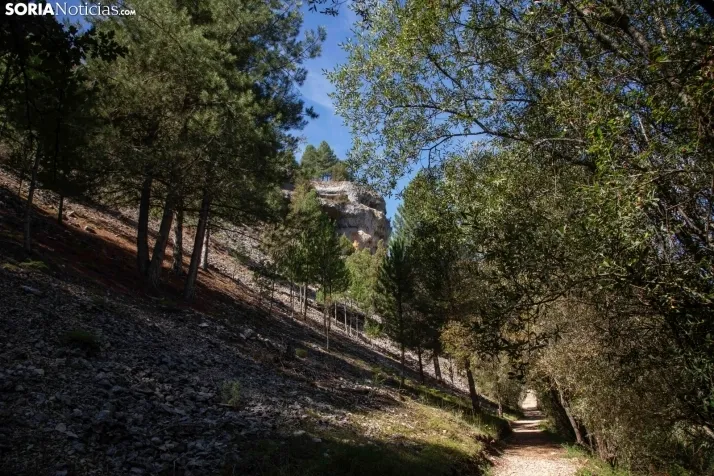 Un paseo por el Cañón del Río Lobos. /María Ferrer