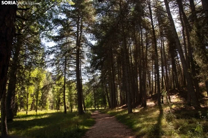 Un paseo por el Cañón del Río Lobos. /María Ferrer