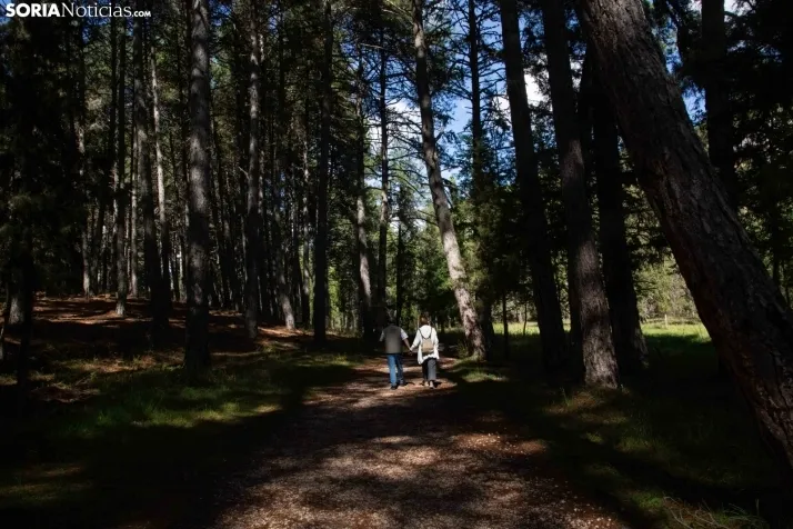 Un paseo por el Cañón del Río Lobos. /María Ferrer