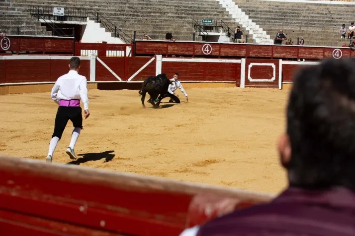 Quiebros, recortes o volteretas, en fotos: Soria vive una emocionante ma&ntilde;ana de recortes