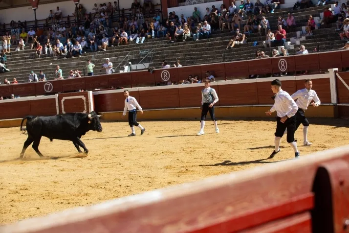 Quiebros, recortes o volteretas, en fotos: Soria vive una emocionante ma&ntilde;ana de recortes