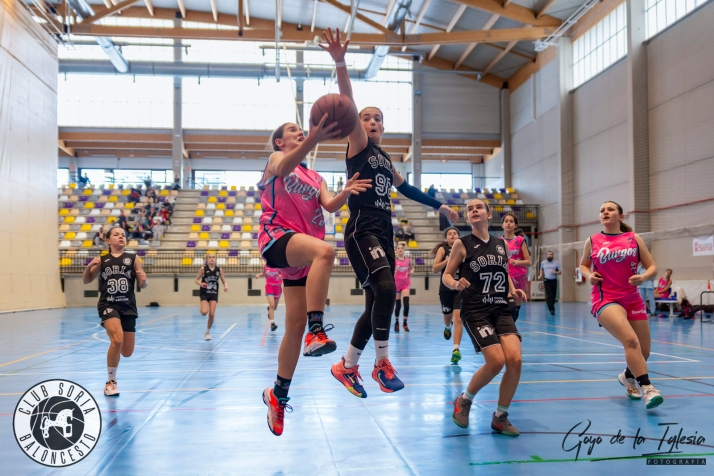 Empieza una nueva temporada para siete de los equipos de la cantera del Club Soria Baloncesto