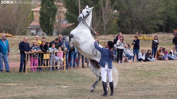 EN FOTOS | Borobia queda encandilada ante las artes y la elegancia de los caballos Zahorí