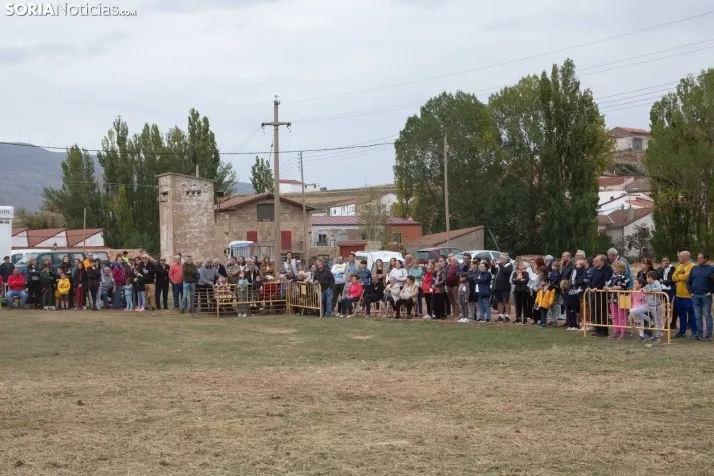 Espectáculo ecuestre Zahorí - Borobia 2023
