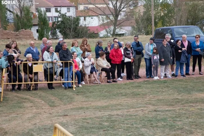 Espectáculo ecuestre Zahorí - Borobia 2023