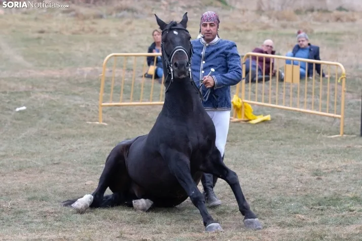 Espectáculo ecuestre Zahorí - Borobia 2023