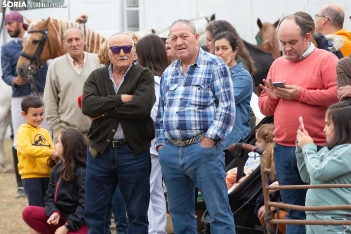 Espectáculo ecuestre Zahorí - Borobia 2023