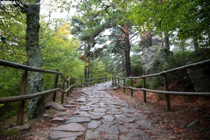 Un paseo por la Laguna Negra. /SN