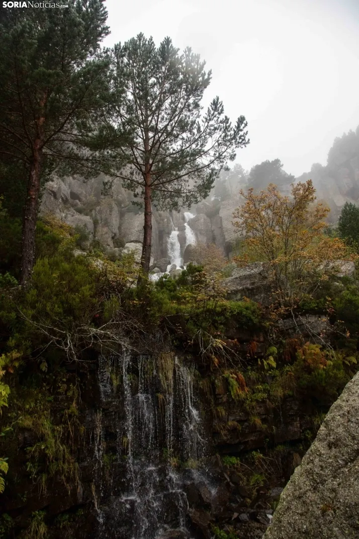 Un paseo por la Laguna Negra. /SN