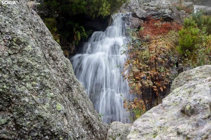 Un paseo por la Laguna Negra. /SN