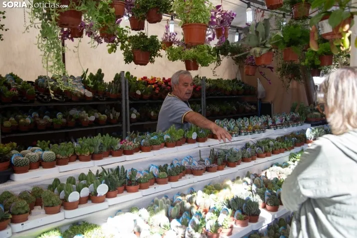 Mercado Medieval Soria 2023