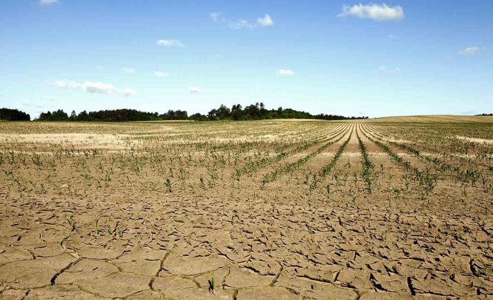 Más de 13.000 agricultores de Castilla y León piden 564 M€ en ayudas por la sequía