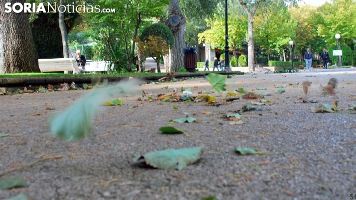 El 112 de Castilla y León recibe más de 200 llamadas por incidentes relacionados por rachas fuertes de viento