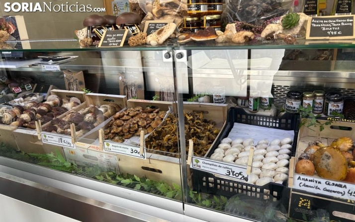 Micología | Estos son los precios de las setas en Soria: Se mantienen los boletus