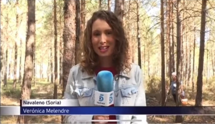 Micología: Tele5 se adentra en los montes de Soria en busca de setas y predice la mejor fecha para recolectarlas