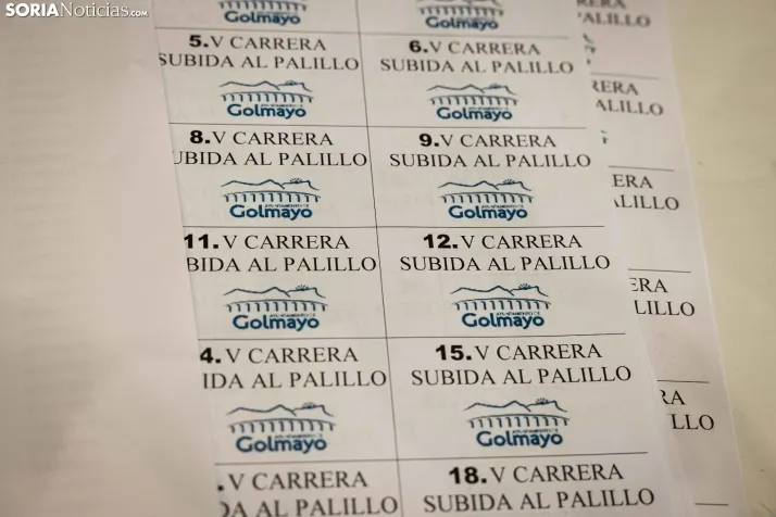 En im&aacute;genes: Golmayo se vuelca con la Subida al 'Palillo'