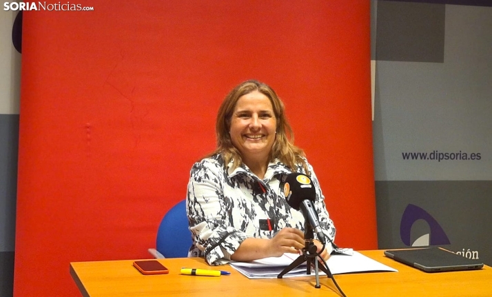 La culpa fue del chachachá: El PSOE denuncia el modus operandi del PP en la Diputación