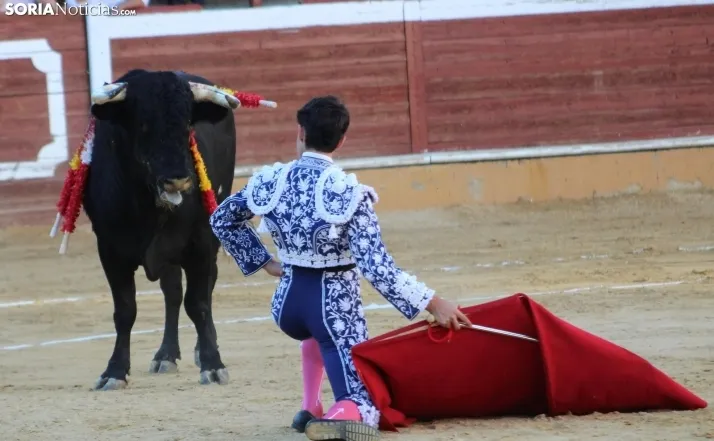 EN FOTOS | As&iacute; fue la novillada con picadores mixta de San Saturio 2023