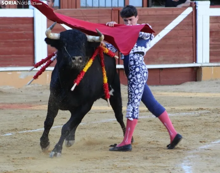 EN FOTOS | As&iacute; fue la novillada con picadores mixta de San Saturio 2023