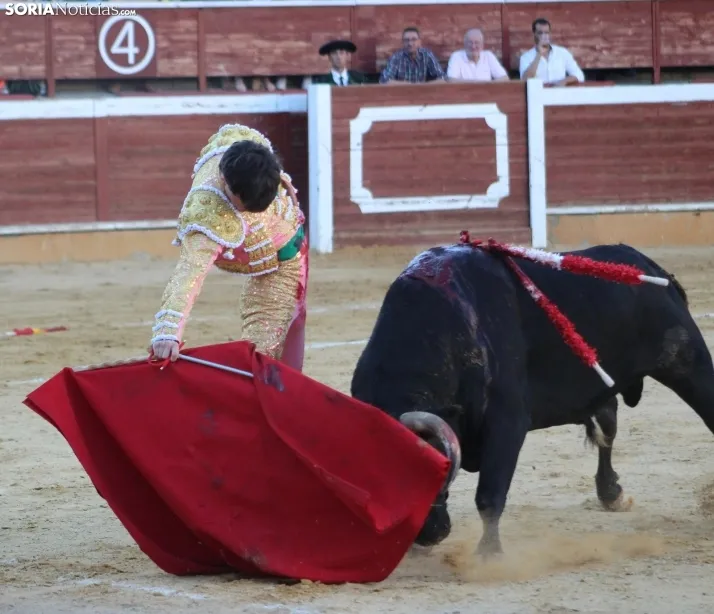 EN FOTOS | As&iacute; fue la novillada con picadores mixta de San Saturio 2023