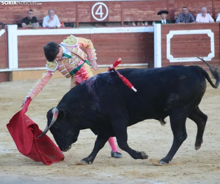EN FOTOS | As&iacute; fue la novillada con picadores mixta de San Saturio 2023