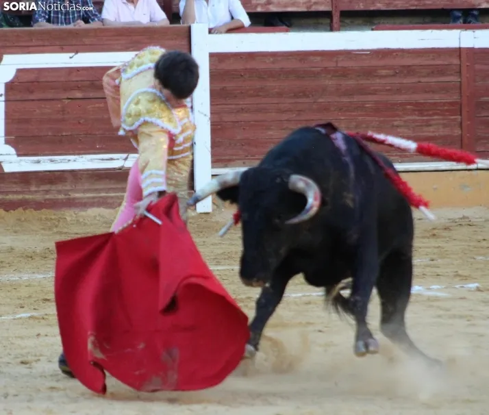 EN FOTOS | As&iacute; fue la novillada con picadores mixta de San Saturio 2023