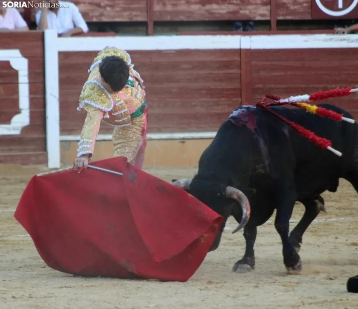 EN FOTOS | As&iacute; fue la novillada con picadores mixta de San Saturio 2023