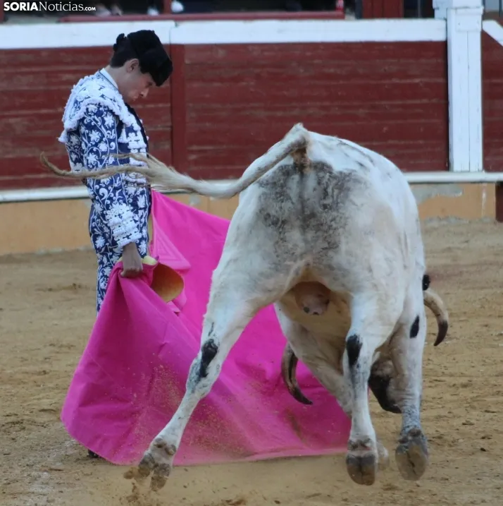 EN FOTOS | As&iacute; fue la novillada con picadores mixta de San Saturio 2023