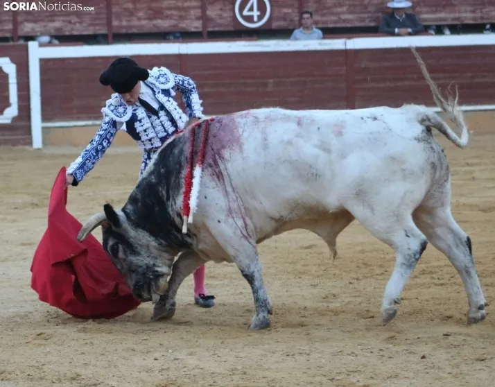 EN FOTOS | As&iacute; fue la novillada con picadores mixta de San Saturio 2023