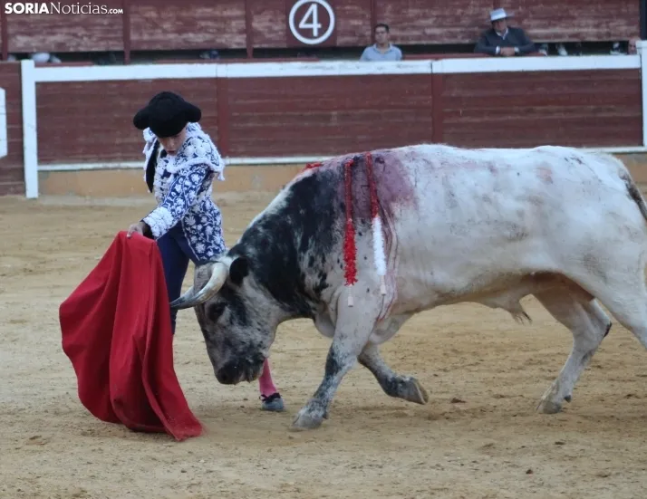 EN FOTOS | As&iacute; fue la novillada con picadores mixta de San Saturio 2023