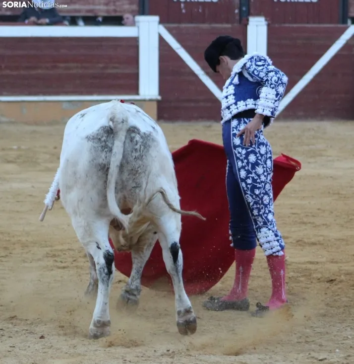 EN FOTOS | As&iacute; fue la novillada con picadores mixta de San Saturio 2023