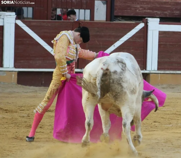 EN FOTOS | As&iacute; fue la novillada con picadores mixta de San Saturio 2023