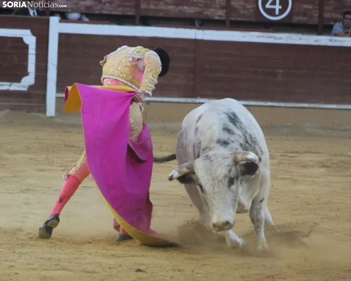 EN FOTOS | As&iacute; fue la novillada con picadores mixta de San Saturio 2023
