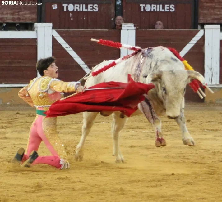 EN FOTOS | As&iacute; fue la novillada con picadores mixta de San Saturio 2023